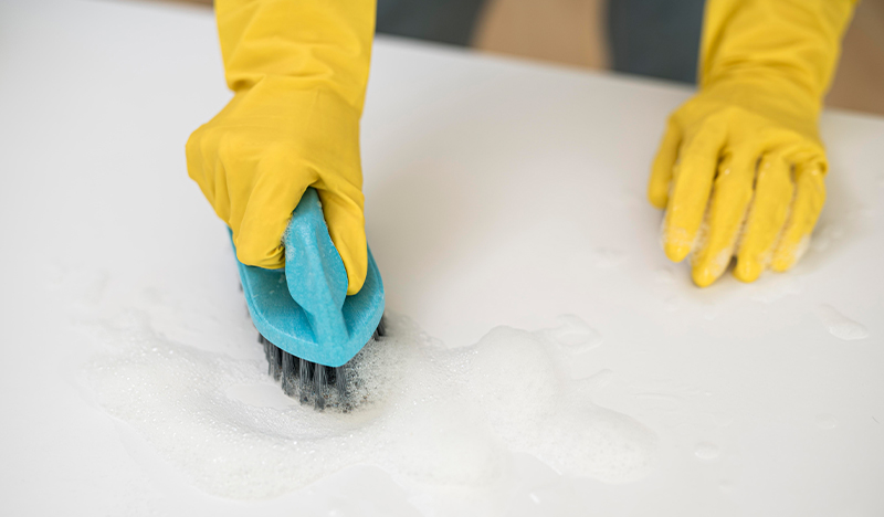 Mold and Mildew Removal in Tampa